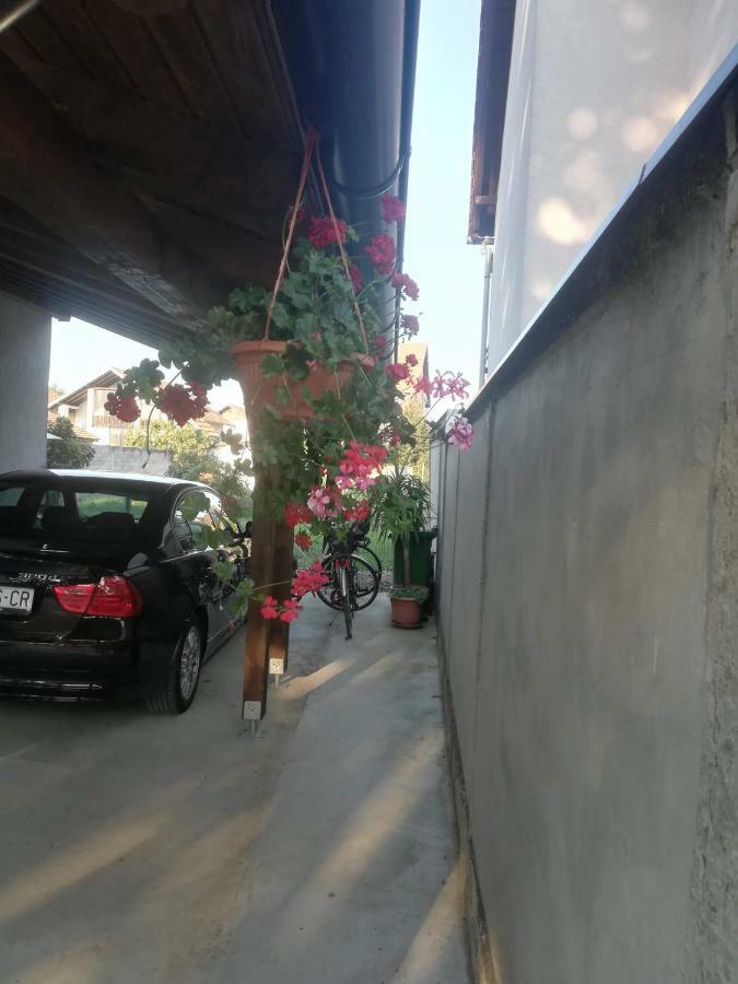 Apartmani Marin Vukovar Zewnętrze zdjęcie